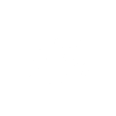 VYNT Beauty
